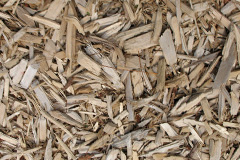 biomass boilers Trequite